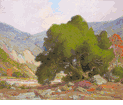The Live Oak near Hemet<br><small>Anna Hills