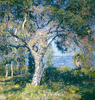 The Oak<br><small>Guy Rose
