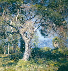 Click to enlarge