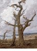 The Old Cypress, Pebble Beach<br><small>Detlef Sammann