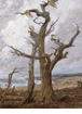 The Old Cypress, Pebble Beach<br><small>Detlef Sammann