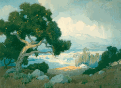 Click to enlarge