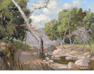 The Sycamore <br><small> Franz Bischoff