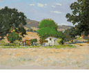 Thousand Oaks <br><small> Dedrick Brandes Stuber