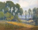Tiburon Hills, View to the Bay<br><small>Percy Gray