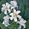 Tiger Lillies<br><small>Henrietta Shore