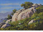 Topanga Canyon<br><small>Paul Grimm