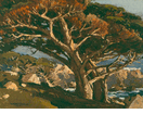 Trees by the Sea<small><br>Edgar Payne