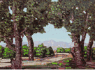 Trees<br><SMALL>(CB812)</SMALL></font>