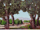Trees<br><SMALL>(CB812)</SMALL></font>