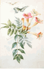 Trumpet Flowers and Butterflies<br><small>Paul de Longpre