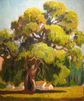 Valley Oak<br><small>Elsie Palmer Payne