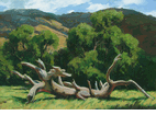 Verdant Landscape  <SMALL> <br> Emil Kosa Jr.</SMALL>