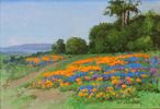 Poppy Fields<br><small>W.F. Jackson