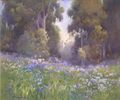 Wild Radish<br><small>Percy Gray