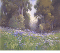 Wild Radish<br><small>Percy Gray