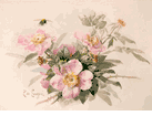 Wild Roses with Bee<br><small>Paul de Longpre