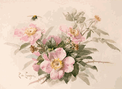 Click to enlarge