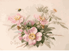 Wild Roses with Bee<br><small>Paul de Longpre