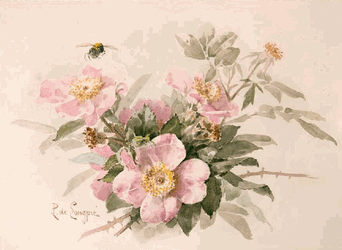 Click to enlarge