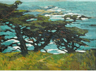 Windswept Cypress, Carmel Coast<br><small>Mary DeNeale Morgan