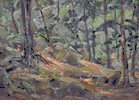 John Carl Doemling (1892 - 1955)