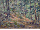 John Carl Doemling (1892 - 1955)