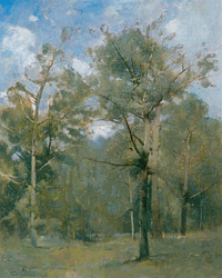 Click to enlarge