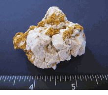 Beautiful Large Australian Gold Specimen  59 grams 