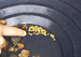 Bonanza Gold Panning Concentrates (14 lbs + 1/4 OZ Gold)