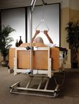 Trapeze for Alterra Bed FCE1232TPZ Medline