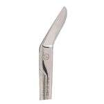 Richter Dissecting Scissors