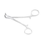 SILVER POINT HOLDING FCPS 66-660
