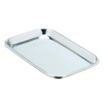 Stainless Steel Instrument Trays