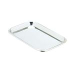 Stainless Steel Mayo Trays