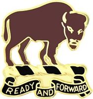 10th Cavalry Regiment Pin