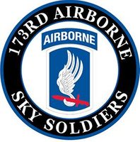 173rd Airborne Para Wings Patch