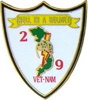 2/9 Marines Pin