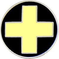 33rd Infantry Division Pin