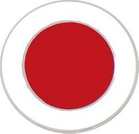 37th Infantry Division Pin