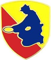 49th Infantry Division Pin