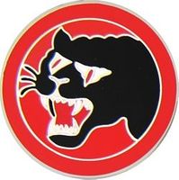 66th Infantry Division Pin