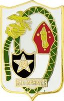 6th Marine Regiment Pin