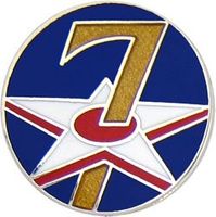 7th Air Force Pin