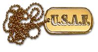 Air Force Military Branch Dog Tag