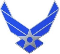 Air Force Pin (New)