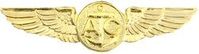 Aircrew Wings Pin
