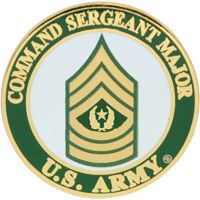 Army CSM E9 Hat Pin