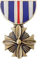 Distinguished Flying Cross Pin