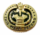 Drill Instructor Breast Badge